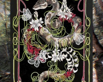 Metamorphoses - Limited Edition Prints