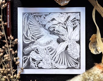 Kiskadee - Orquídea - Dibujo original