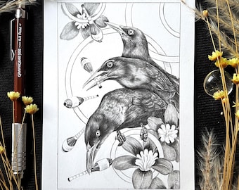 Zanate - Malabarismo - Dibujo original