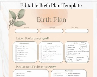 Birth Plan Printable Downloadable Birth Plan Labor Plan - Etsy