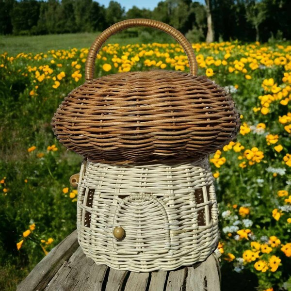 Rattan Mushroom Storage Basket with Lid | Handcrafted, Decorative Wicker Shelf Organizer, Cute Handmade Gift