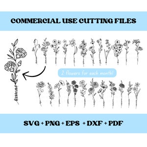 Bundle fleur de naissance SVG, svg fleur du mois de naissance, impression de fleurs du mois de naissance, fleur svg, svg calendrier, svg tendance, sublimation, png, dxf, eps