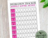 Hydration Tracker Printable | Water Intake Tracker Printable | 8.5 x 11 in US Letter | Digital Download