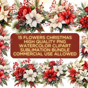 15 Cute Christmas Flowers Clipart, Christmas Clipart Bundle,Christmas,christmas clipart,watercolor christmas clipart,PNG,Digital PDF