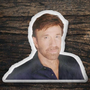May include: A close-up portrait of a man with short, reddish-brown hair. He is wearing a dark blue collared shirt and has a light beard and mustache.