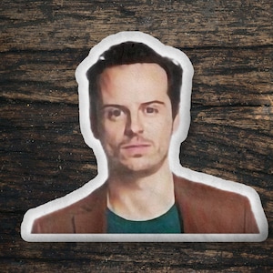 Andrew Scott Custom Shaped Pillow, Custom Shape Pillow Gift Idea, Gift for Sherlock Movie Fans, Cool Custom Pillow Gift Idea Design