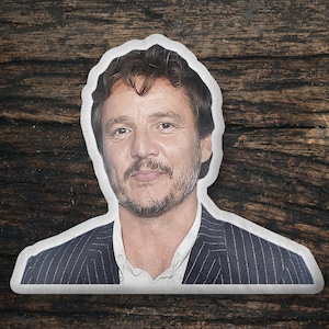Pedro Pascal Custom Shaped Pillow, Custom Shape Pillow Gift Idea, Gift for Prospect Movie Fans, Cool Custom Pillow Gift Idea Design