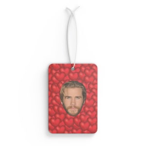 Liam Hemsworth Car Air Freshener, Air Freshener for Car with Funny Face, Best Car Scent Gift Idea, Perfect Gift For Paranoia Movie Fans
