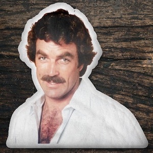 Tom Selleck Custom Shaped Pillow, Custom Shape Pillow Gift Idea, Gift for Boston Legal Movie Fans, Cool Custom Pillow Gift Idea Design