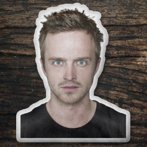 Aaron Paul Custom Shaped Pillow, Custom Shape Pillow Gift Idea, Gift for Eye In The Sky Movie Fans, Cool Custom Pillow Gift Idea Design