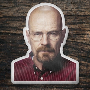 Bryan Cranston Custom Shaped Pillow, Custom Shape Pillow Gift Idea, Gift for Argo Movie Fans, Cool Custom Pillow Gift Idea Design