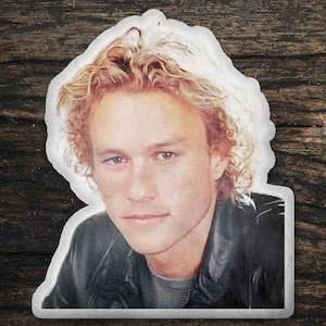 Heath Ledger Custom Shaped Pillow, Custom Shape Pillow Gift Idea, Gift for Brokeback Mountain Movie Fan, Cool Custom Pillow Gift Idea Design