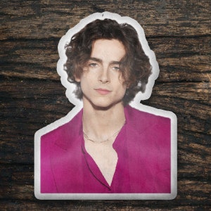 Timothée Chalamet Custom Shaped Pillow, Custom Shape Pillow Gift Idea, Gift for Little Women Movie Fans, Cool Custom Pillow Gift Idea Design