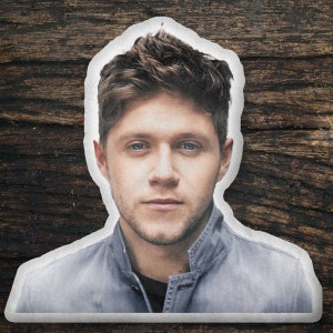 Almohada con forma personalizada de Niall Horan, idea de regalo de almohada de forma personalizada, regalo para los fanáticos de Niall Horan, diseño de idea de regalo de almohada personalizada genial