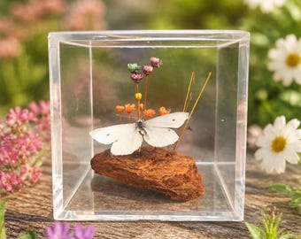 Butterfly, Dragonfly and Dried Flower Display Cube  3.25-inch preserved nature specimen | Clear Acrylic Decor | Garden‑Inspired Gift 