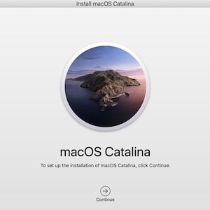 May include: The macOS Catalina installation screen features a circular image of a coastal landscape. The text "macOS Catalina" is displayed below the image, with instructions to click "Continue" to begin the installation process.