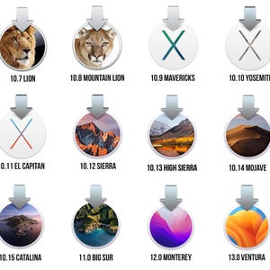 May include: A collection of twelve circular icons, each representing a different version of macOS. The icons feature images of a lion, mountain lion, landscapes, and abstract designs, with version numbers and names displayed below.