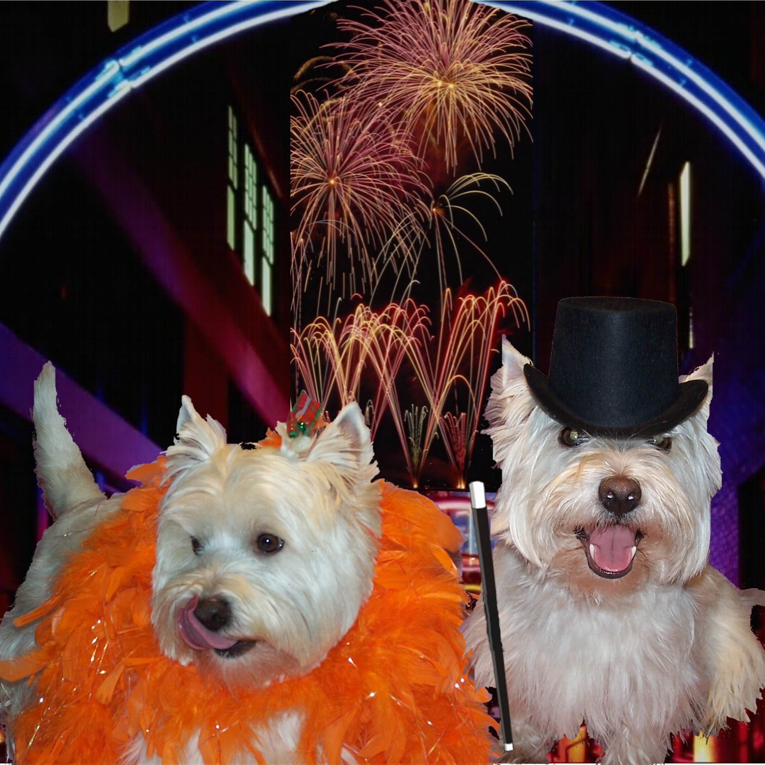 Westie 2024 12x24 Calendar With Westies Engaged in Unusual Activities