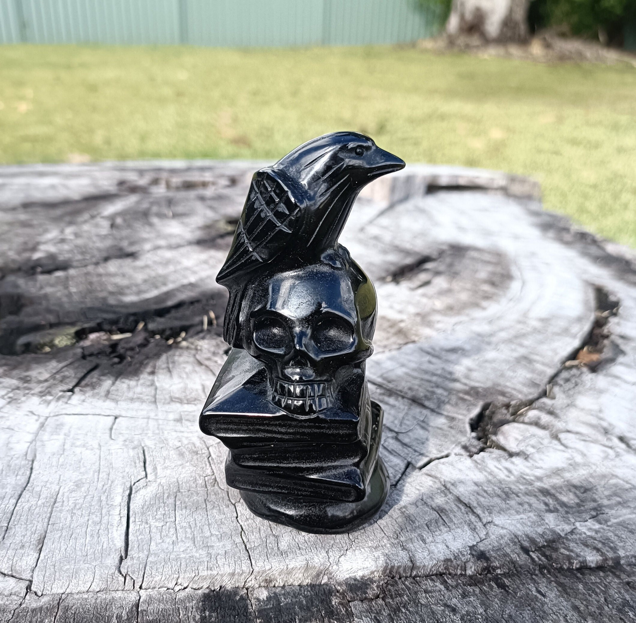 Black obsidian Crow Skull Book Statue, Halloween Style Crystal Carving for Home Decoration, Desk Decor,