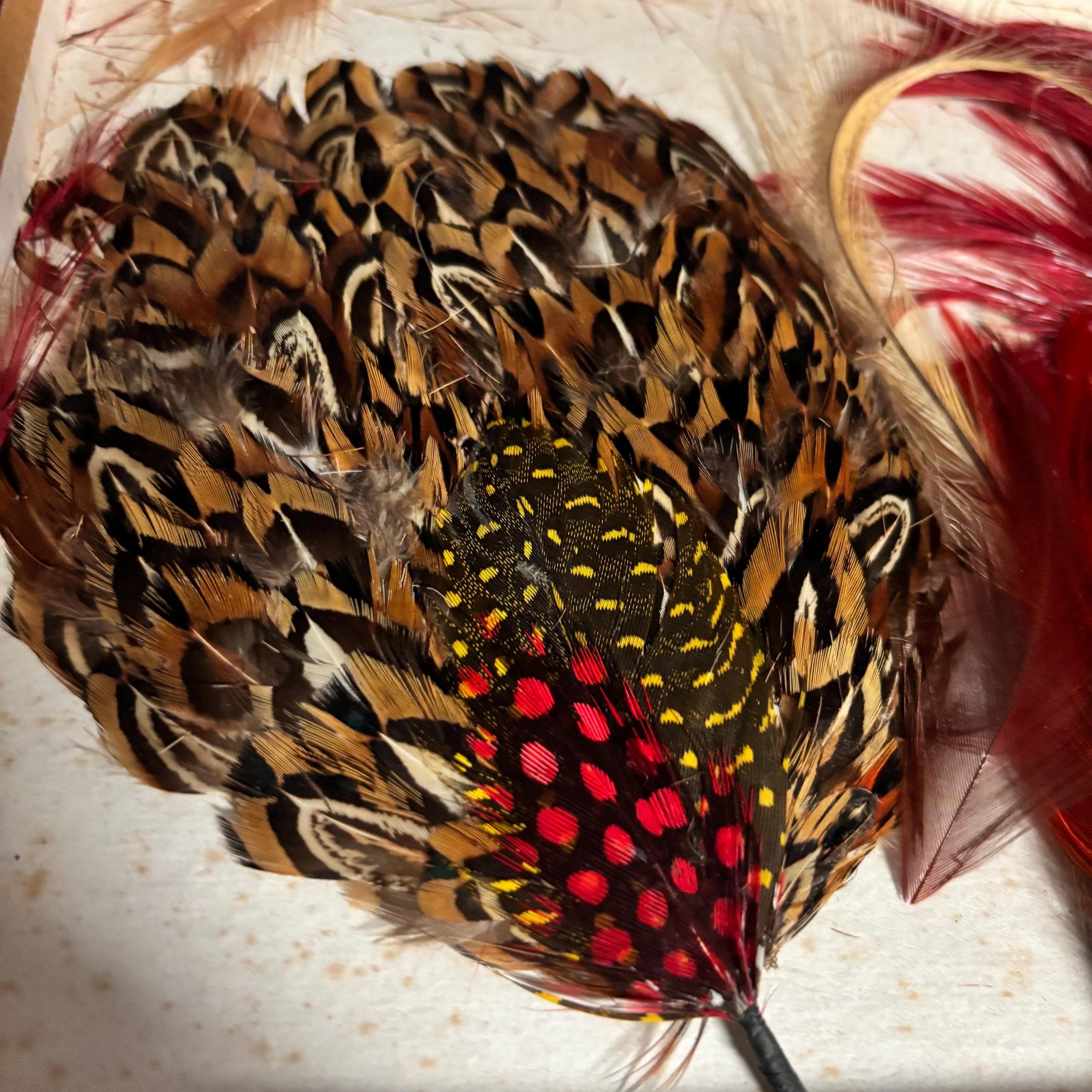 Vintage Pheasant Feather Hat Mid Century Fascinator Flapper Retro Colorful READ Pheasant Feather Hat Vintage - Etsy main image 3