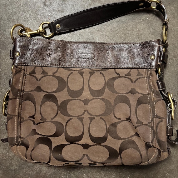Authenticated Coach Tote/handbag, Zoe Signature Hobo, Almost Like 