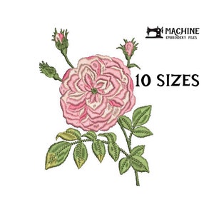 Austin Rose - 10 sizes - Garden Rosa Peony Flower Meadow - Floral Bouquet - Modern Cute Spring Summer Digital Design Machine Embroidery File
