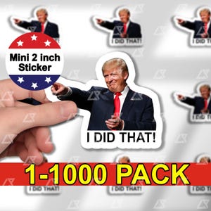 100 stuks I Did That Trump-stickerpakket, anti-Trump-sticker, Trump Eclipse, Meme-sticker, FDT, antiracistisch, liberale stickers