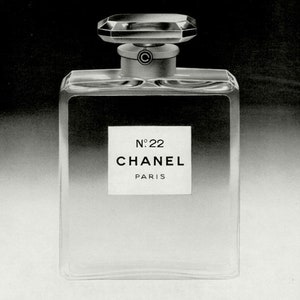 Buy Chanel No 22 Perfume Online In India -  India