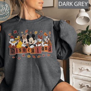 May include: A dark grey sweatshirt with a graphic of Mickey Mouse, Minnie Mouse, Donald Duck, Goofy, and Pluto in front of a brick wall with the text "Disneyland" in a fall-themed design.
