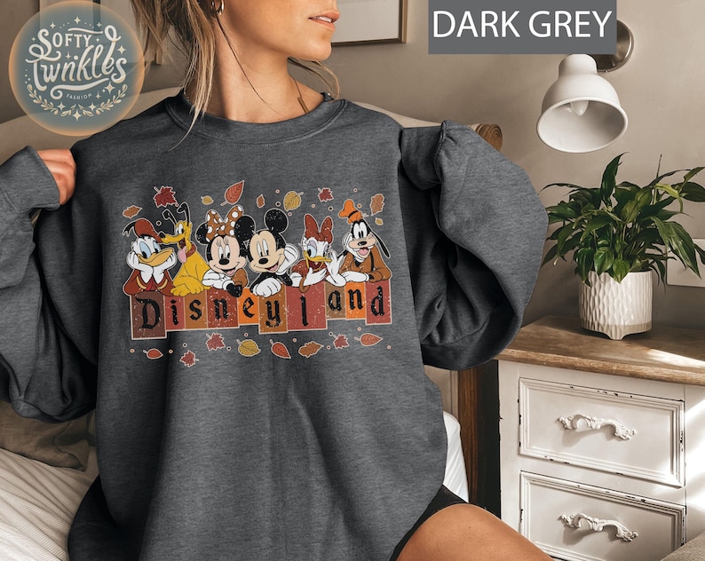 May include: A dark grey sweatshirt with a graphic of Mickey Mouse, Minnie Mouse, Donald Duck, Goofy, and Pluto in front of a brick wall with the text "Disneyland" in a fall-themed design.