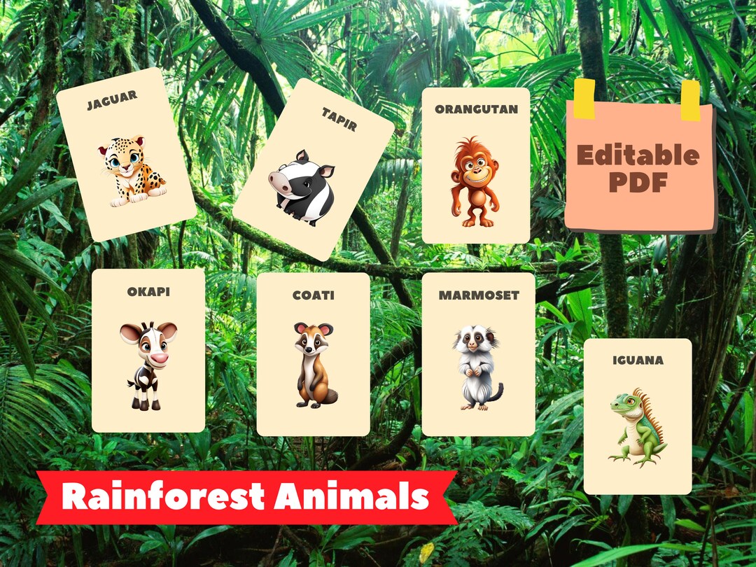 RAINFOREST ANIMALS 24 Printable Montessori Cards Flash Cards ...