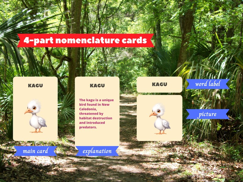 ENDANGERED ANIMALS 24 Printable Montessori Cards Flash Cards ...