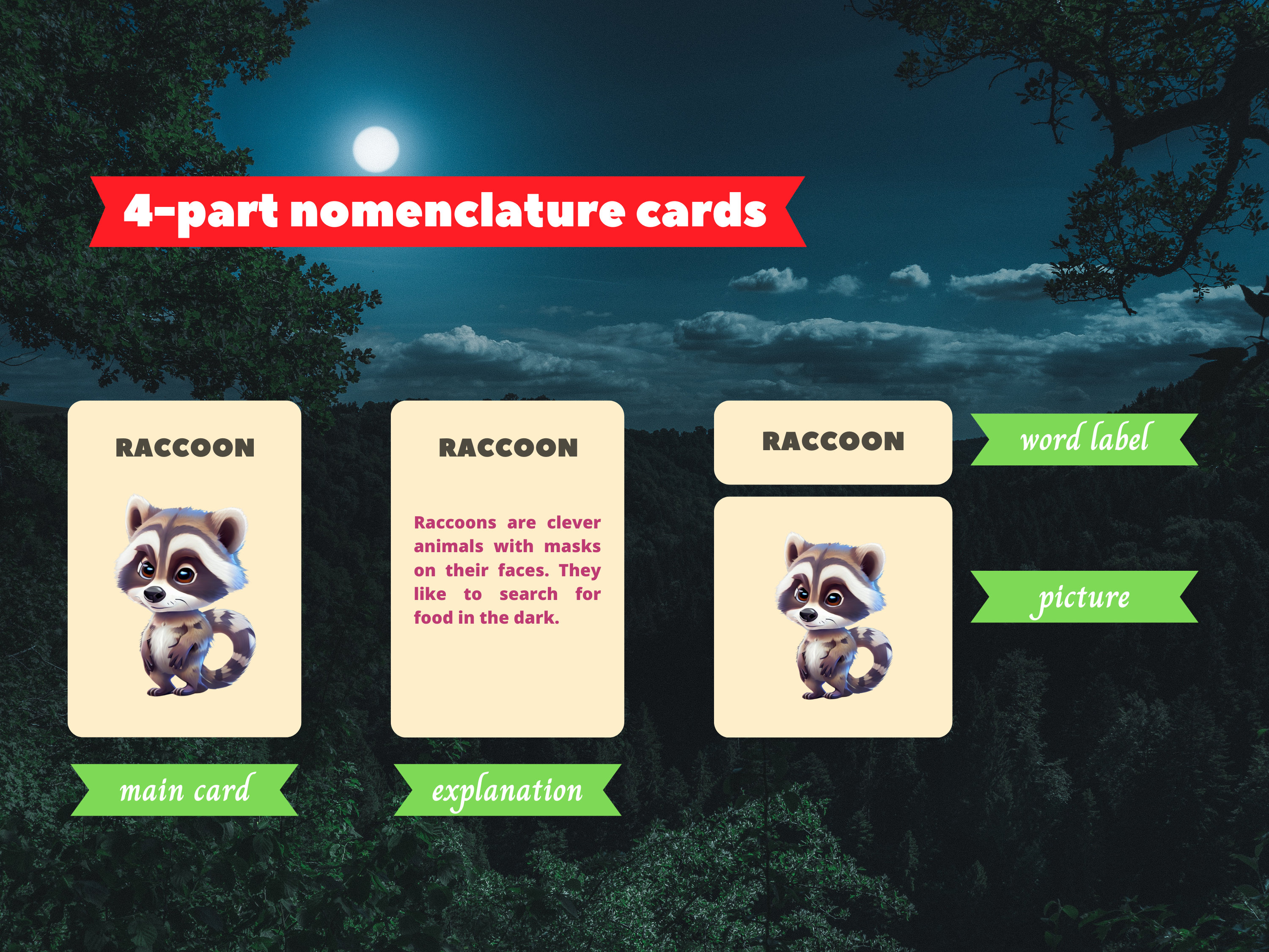 NOCTURNAL ANIMALS 24 Printable Montessori Cards Flash - Etsy