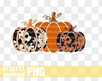 Cowhide Pumpkins PNG, Pumpkin Everything png, Cow Print Pumpkins, Fall Vibes png, Autumn Pumpkins png