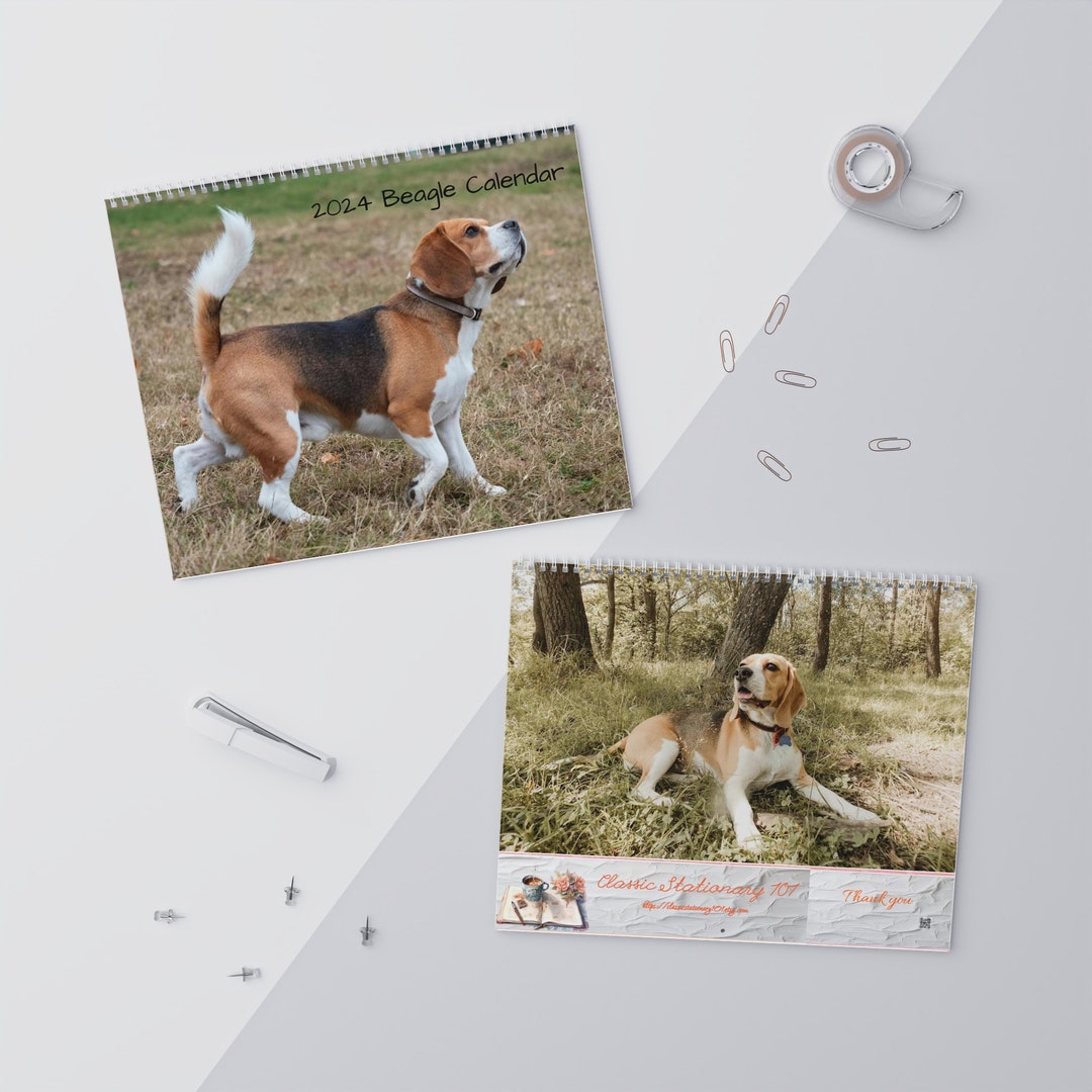 2024 Beagle Yearly Wall Calendar Christmas Gift 2024 Etsy