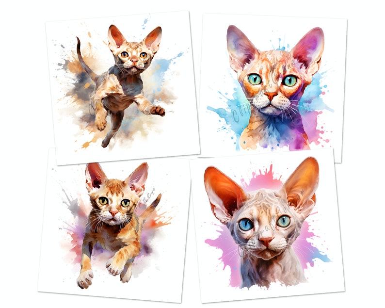12 Devon Rex Cat Clipart PNG Bundle | Cute Watercolor Cat Clipart PNG ...