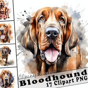 17 Bluthund Clipart PNG Bundle | Aquarell Hund Clipart PNG | 23