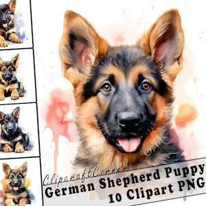 10 Puppy German Shepherd Clipart PNG Bundle | Watercolor Puppy Dog Clipart PNG | 61