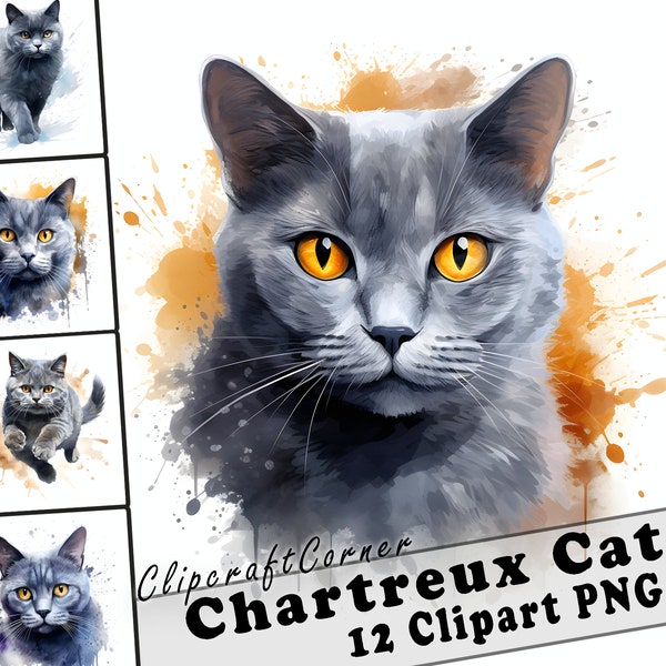 12 Chartreux Cat Clipart PNG Bundle | Cute Watercolor Cat Clipart PNG | 538