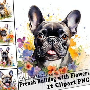 12 French Bulldog and Flowers Clipart PNG Bundle | Watercolor Dog Clipart PNG | 70