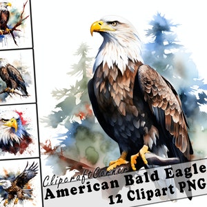 12 American Bald Eagle Clipart PNG art Bundle | Watercolor Bird Clipart PNG artwork | 1031
