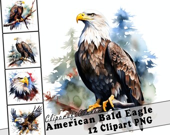 12 American Bald Eagle Clipart PNG art Bundle | Watercolor Bird Clipart PNG artwork | 1031
