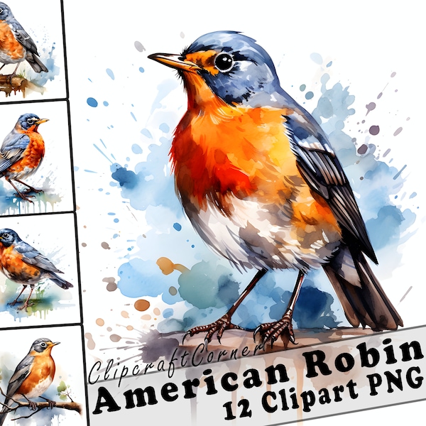 12 American Robin Clipart PNG art Bundle | Watercolor Bird Clipart PNG artwork |1010