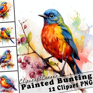 Wimpelkette Clipart PNG Kunst Bundle | Aquarell Vogel Clipart PNG Kunstwerk | 1047