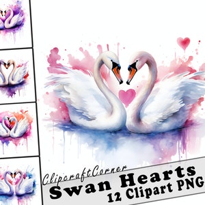 12 Cygne Coeurs Clipart PNG art Bundle | Aquarelle Oiseau Clipart PNG illustration | 1058