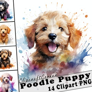 14 Puppy Poodle Clipart PNG Bundle | Watercolor Puppy Dog Clipart PNG | 64
