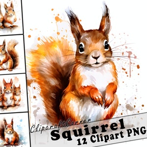 12 Ardilla Clipart PNG Bosque Animal Bundle / Acuarela Ardilla Clipart PNG / Woodland Animal Artwork / 7005