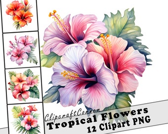 12 Tropical Flower Clipart PNG Bundle | Tropical Watercolor Clipart PNG | Summer Clipart PNG Artwork | 5002