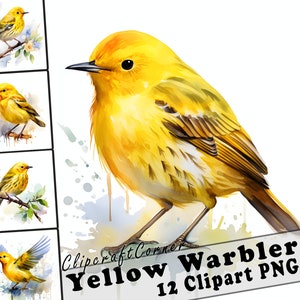 Könnte beinhalten: Ein Aquarellbild eines gelben Goldhähnchens vor weißem Hintergrund. Der Vogel sitzt auf einem Ast mit ausgebreiteten Flügeln. Das Bild ist Teil eines Sets mit 12 Clipart-Bildern.