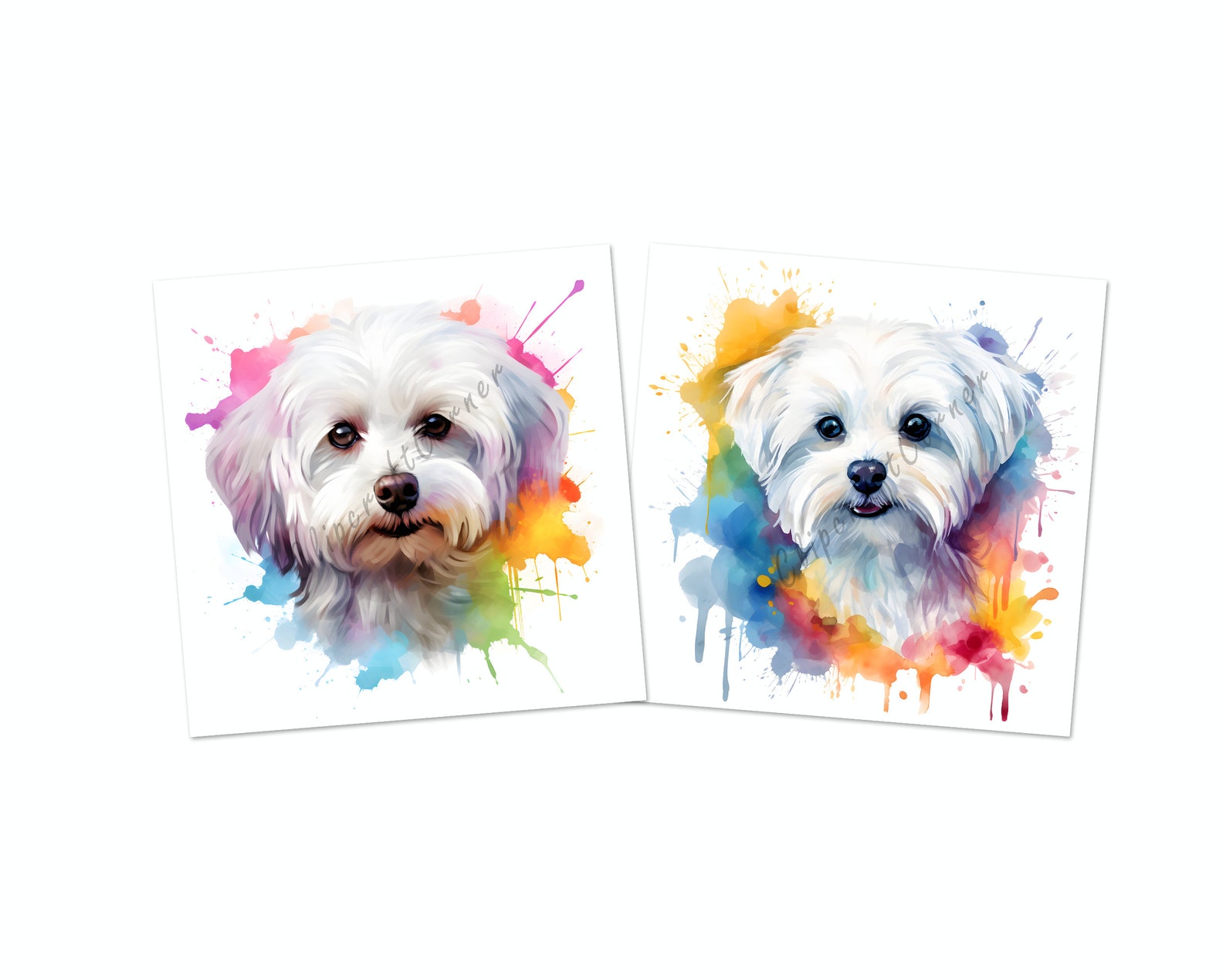 14 Maltese Clipart PNG Bundle | Watercolor Dog Clipart PNG | 11 - Etsy